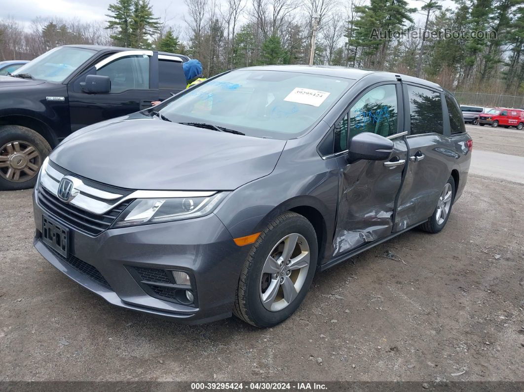 2019 Honda Odyssey Ex-l Gray vin: 5FNRL6H74KB025345