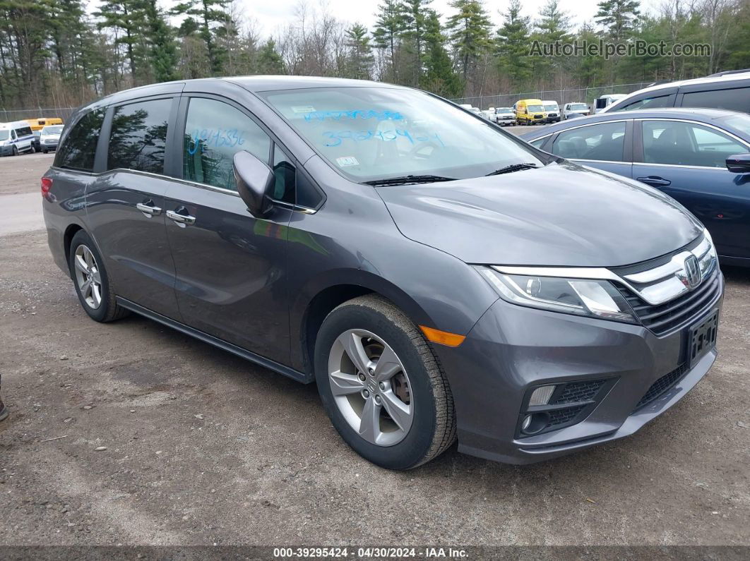 2019 Honda Odyssey Ex-l Gray vin: 5FNRL6H74KB025345