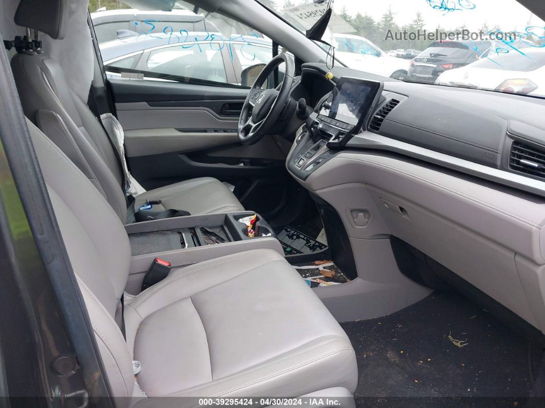 2019 Honda Odyssey Ex-l Gray vin: 5FNRL6H74KB025345