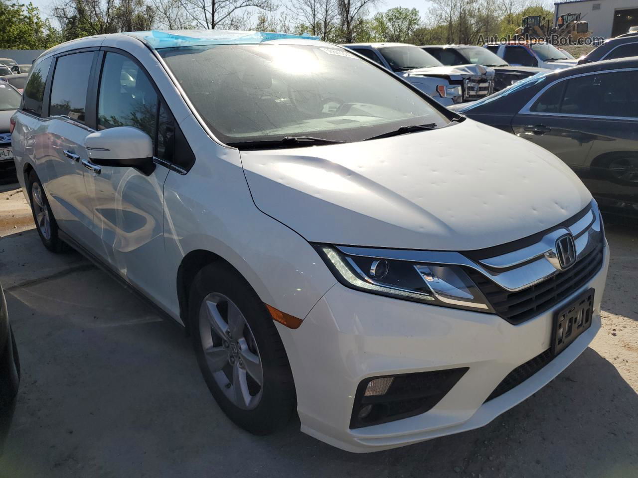 2019 Honda Odyssey Exl White vin: 5FNRL6H74KB031033