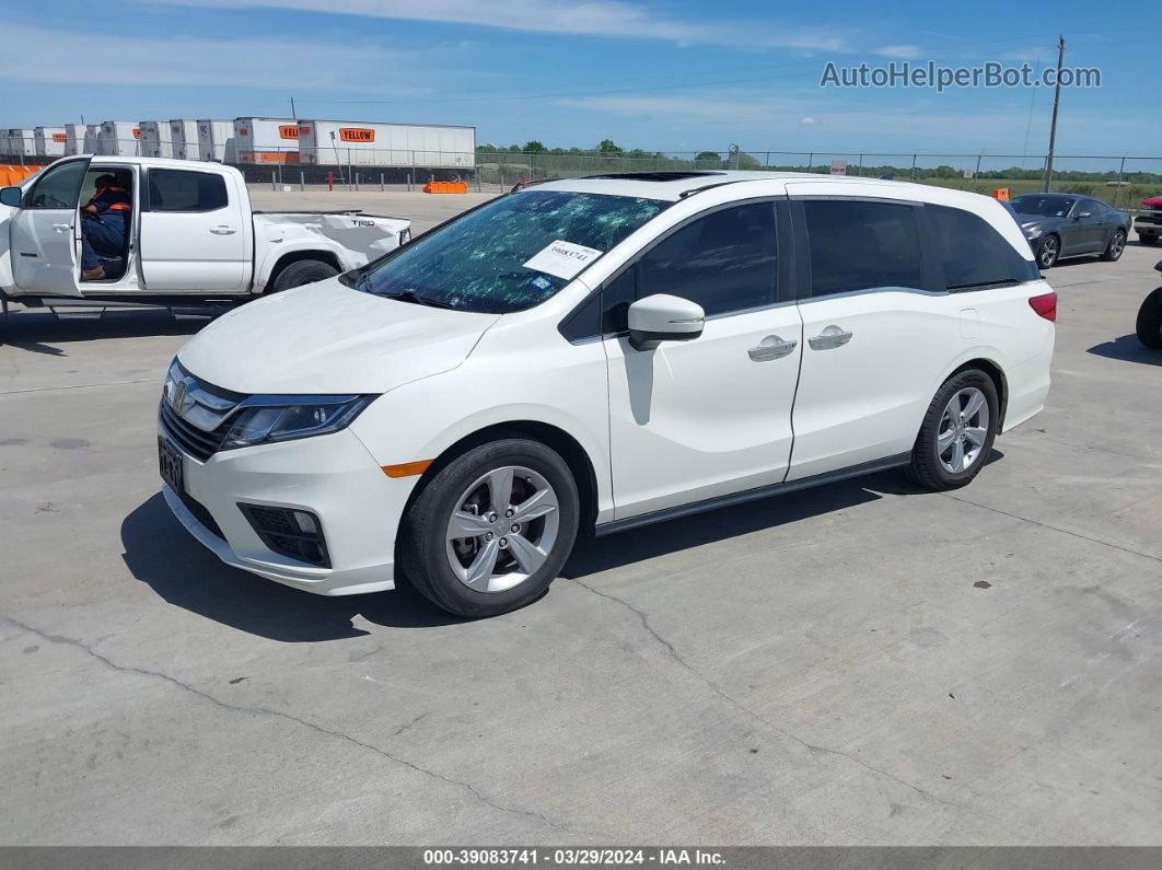 2019 Honda Odyssey Ex-l White vin: 5FNRL6H74KB032988