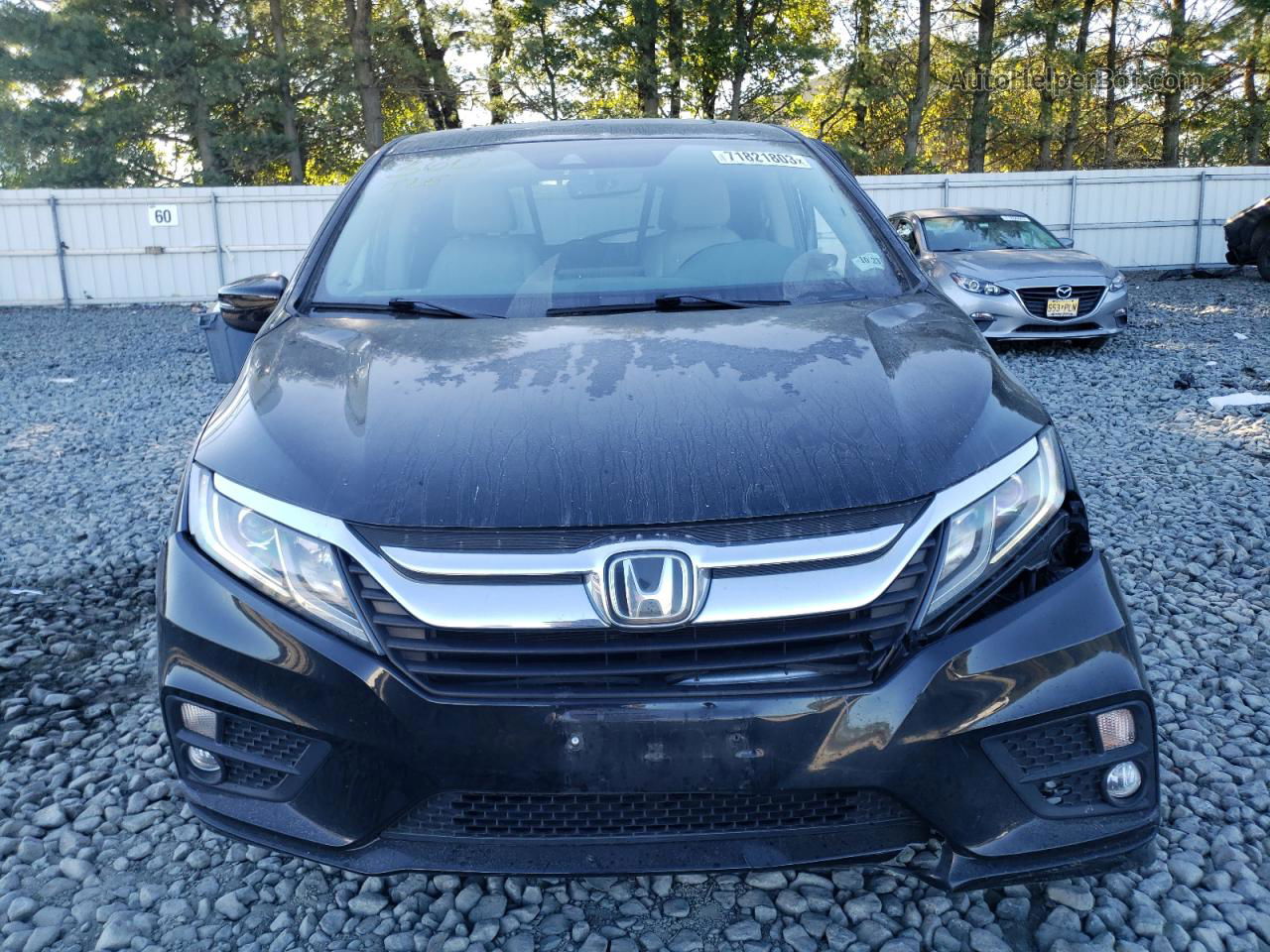 2019 Honda Odyssey Exl Black vin: 5FNRL6H74KB033400