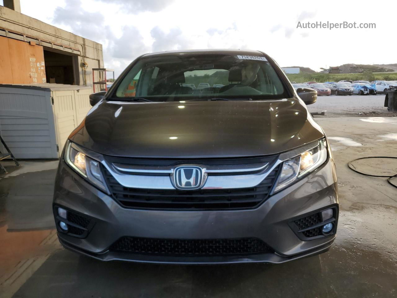 2019 Honda Odyssey Exl Gray vin: 5FNRL6H74KB082256