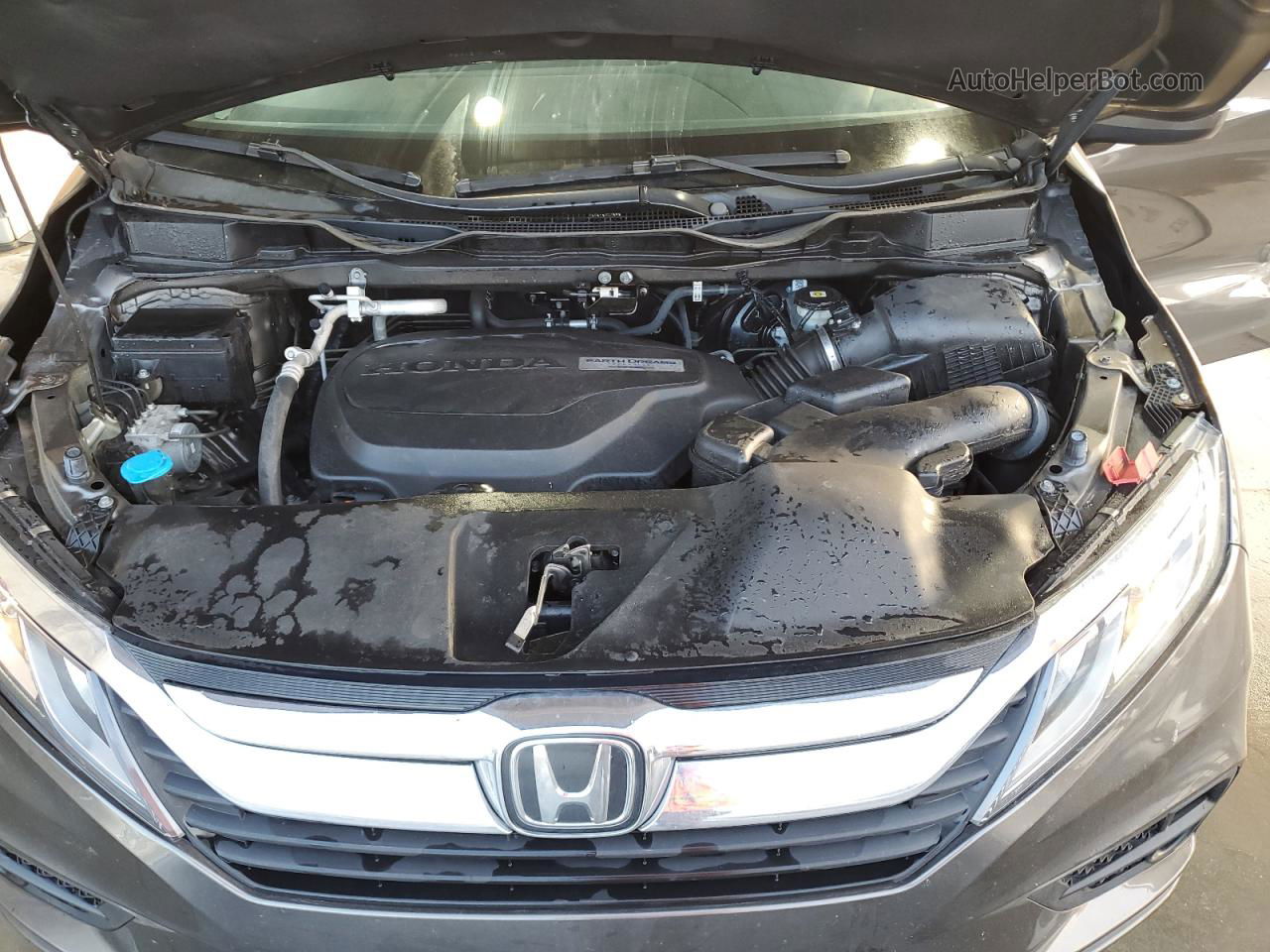 2019 Honda Odyssey Exl Gray vin: 5FNRL6H74KB082256