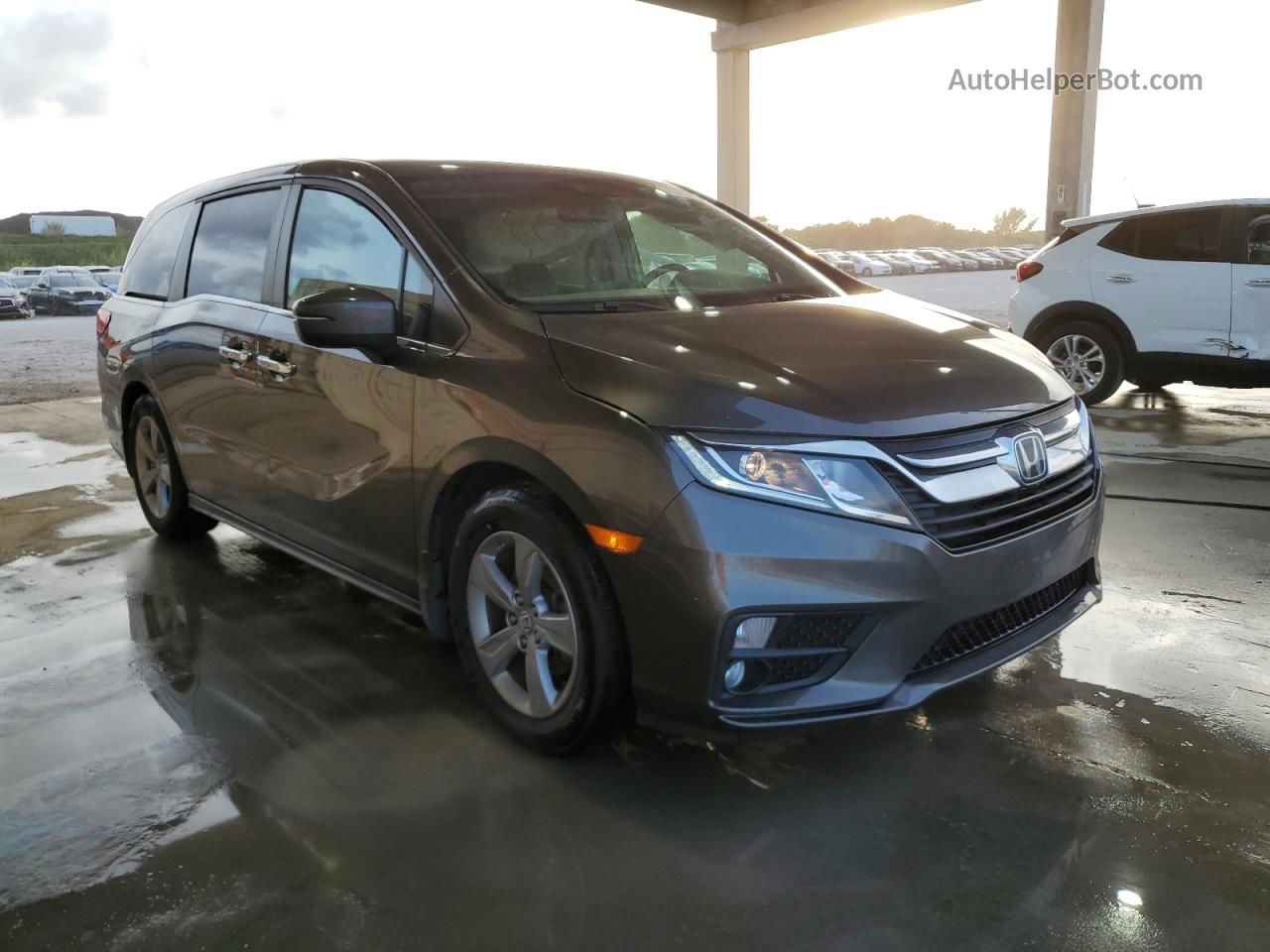 2019 Honda Odyssey Exl Gray vin: 5FNRL6H74KB082256