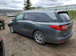 2019 Honda Odyssey Exl Gray vin: 5FNRL6H74KB088946