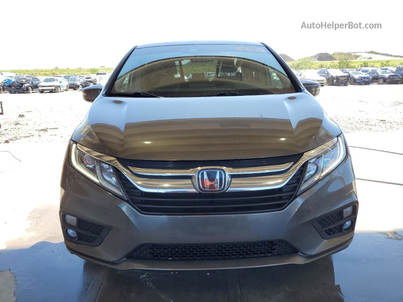 2019 Honda Odyssey Exl Gray vin: 5FNRL6H74KB115272