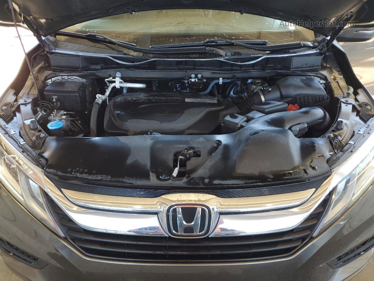 2019 Honda Odyssey Exl Gray vin: 5FNRL6H74KB115272