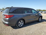 2020 Honda Odyssey Exl Серый vin: 5FNRL6H74LB062459