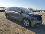 2020 Honda Odyssey Exl Gray vin: 5FNRL6H74LB062459