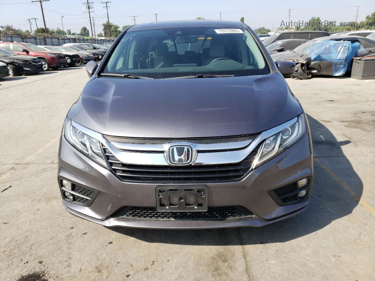 2020 Honda Odyssey Exl Gray vin: 5FNRL6H74LB068052