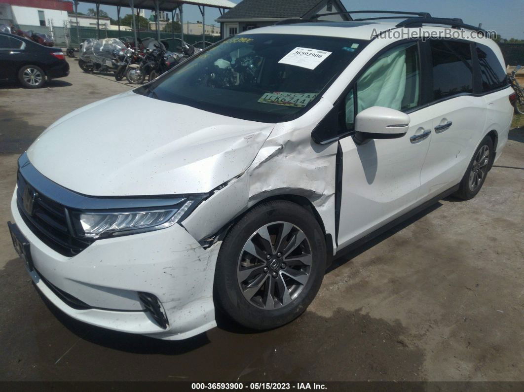 2021 Honda Odyssey Ex-l White vin: 5FNRL6H74MB014767