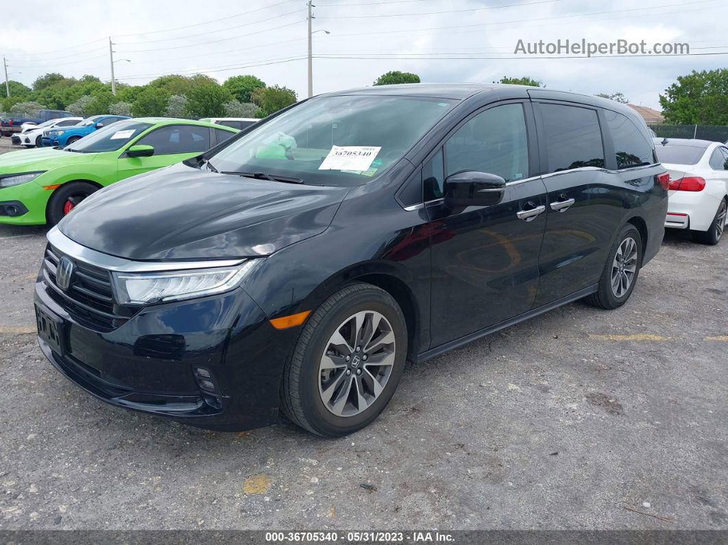 2021 Honda Odyssey Ex-l Black vin: 5FNRL6H74MB030290