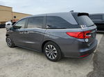 2021 Honda Odyssey Exl Gray vin: 5FNRL6H74MB034033