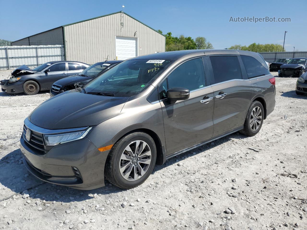 2021 Honda Odyssey Exl Gray vin: 5FNRL6H74MB038874