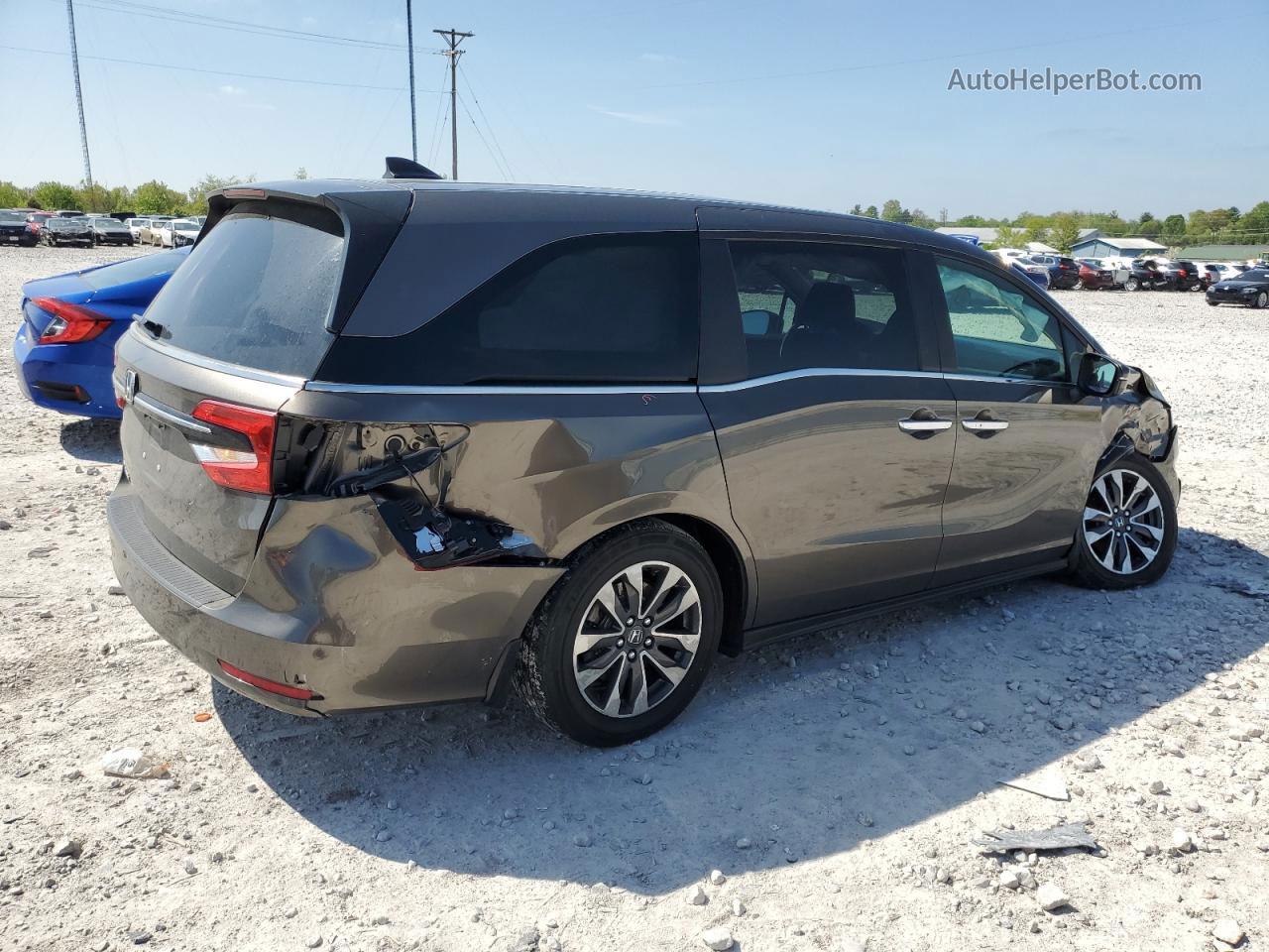 2021 Honda Odyssey Exl Gray vin: 5FNRL6H74MB038874