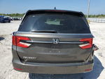 2021 Honda Odyssey Exl Gray vin: 5FNRL6H74MB038874