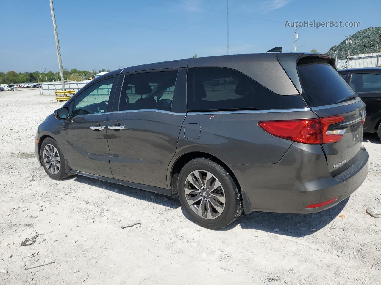 2021 Honda Odyssey Exl Gray vin: 5FNRL6H74MB038874