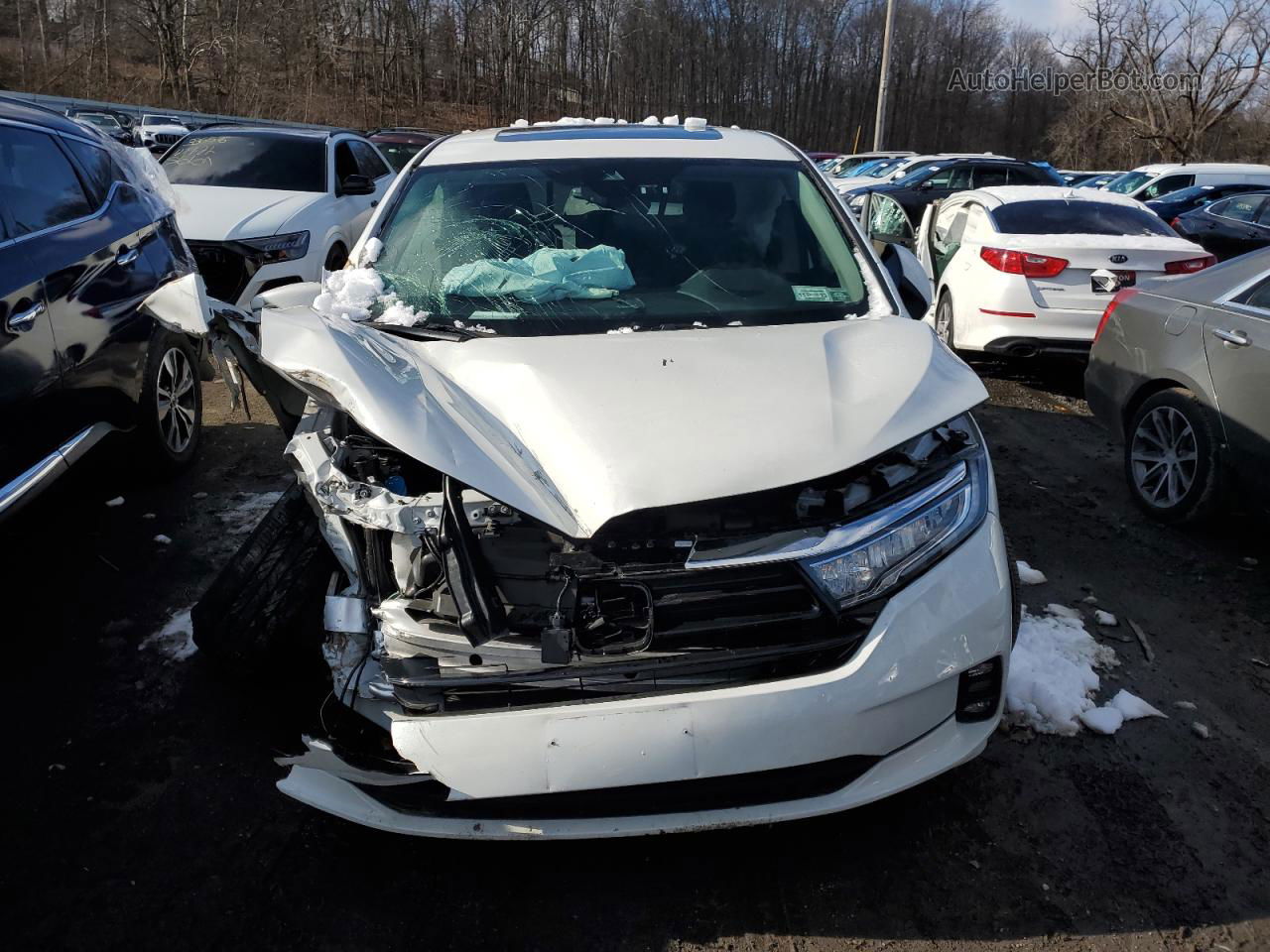 2021 Honda Odyssey Exl White vin: 5FNRL6H74MB040110