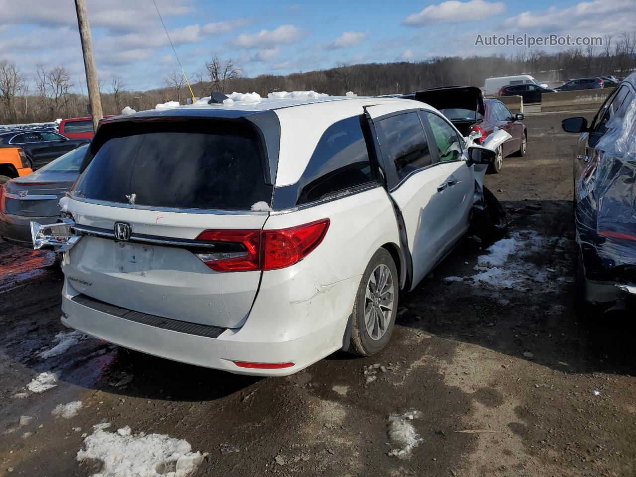 2021 Honda Odyssey Exl Белый vin: 5FNRL6H74MB040110