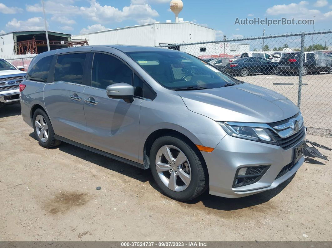 2019 Honda Odyssey Ex-l Gray vin: 5FNRL6H75KB010563