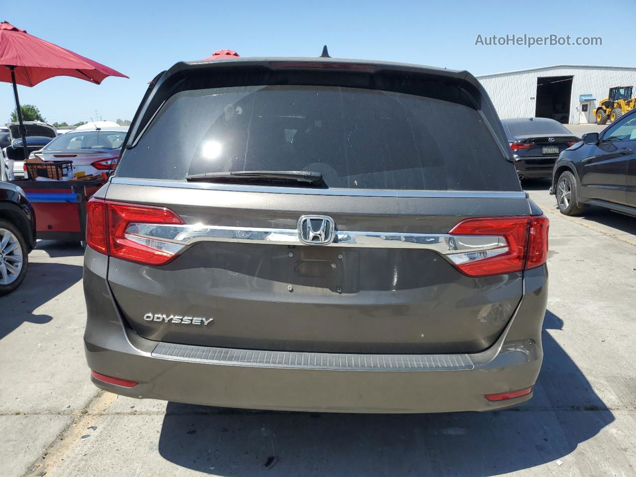 2019 Honda Odyssey Exl Gray vin: 5FNRL6H75KB061951