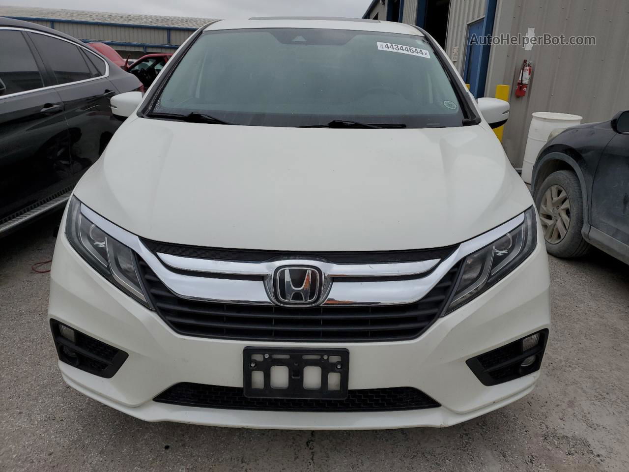 2019 Honda Odyssey Exl White vin: 5FNRL6H75KB065515