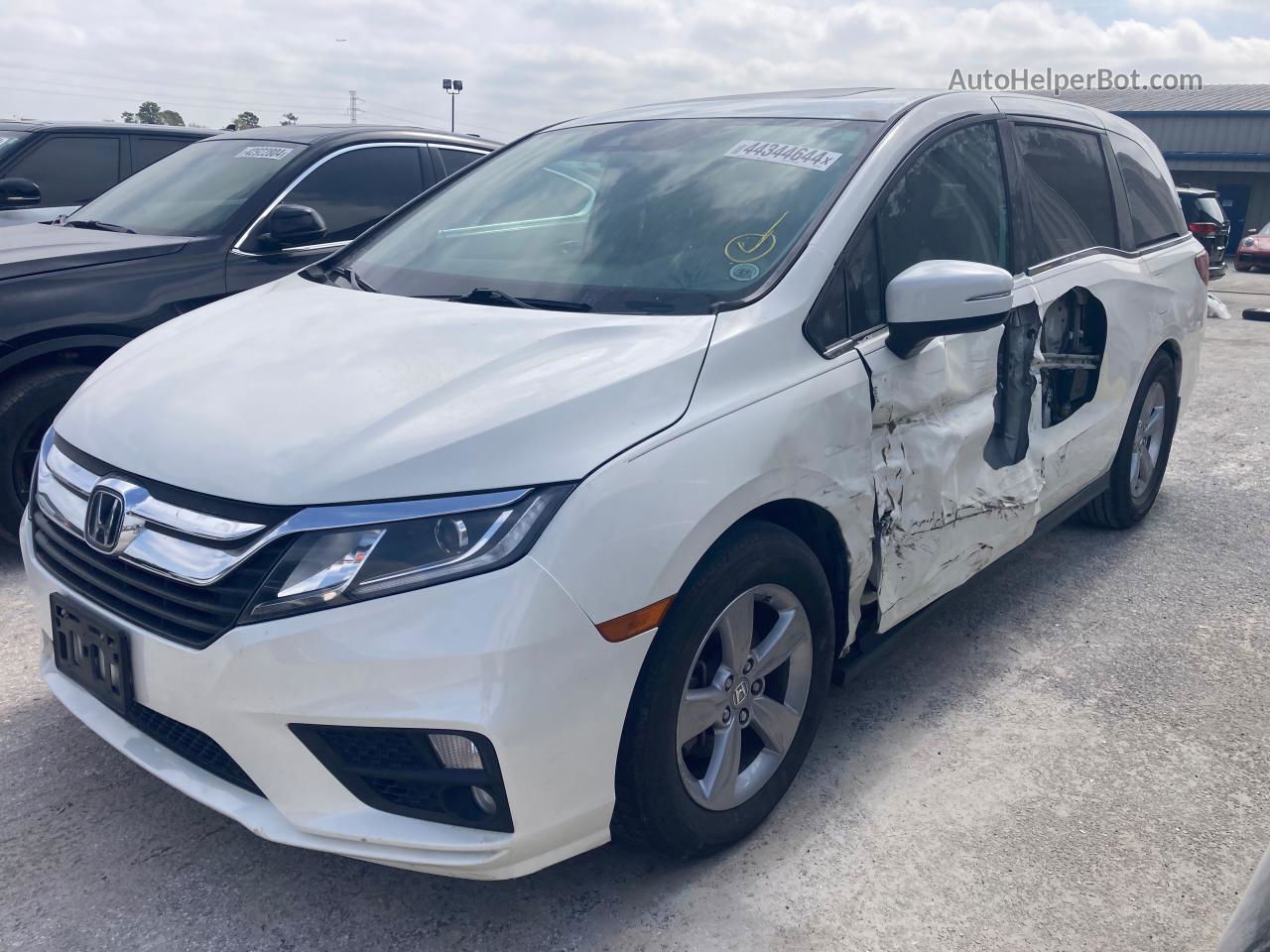 2019 Honda Odyssey Exl White vin: 5FNRL6H75KB065515