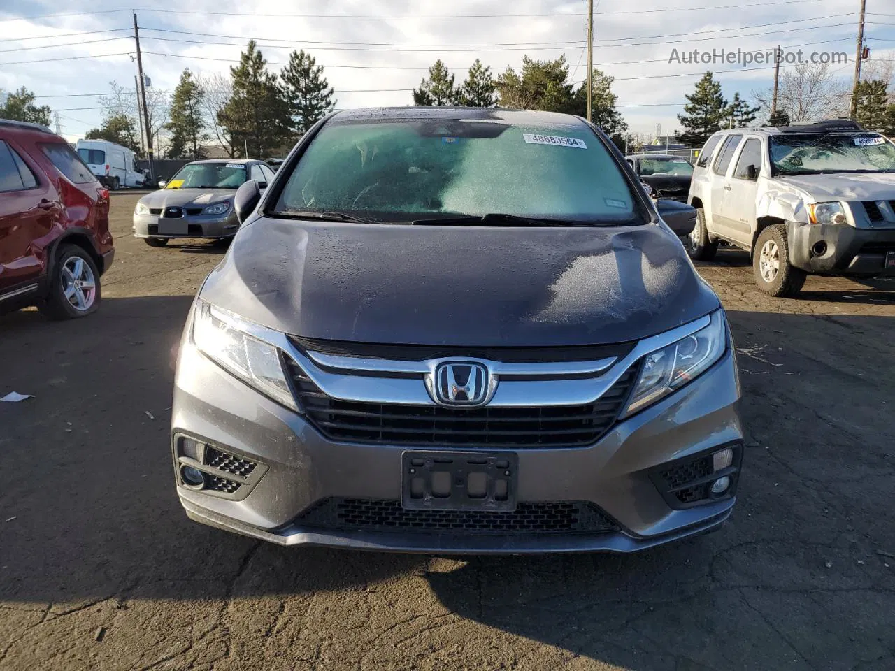 2019 Honda Odyssey Exl Gray vin: 5FNRL6H75KB126829