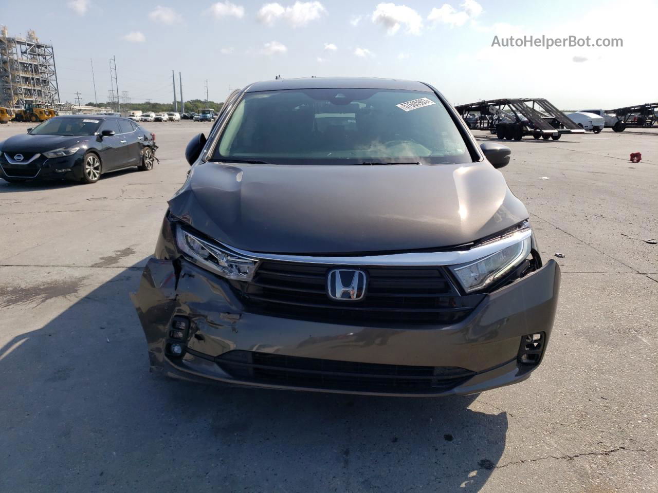 2021 Honda Odyssey Exl Коричневый vin: 5FNRL6H75MB001672