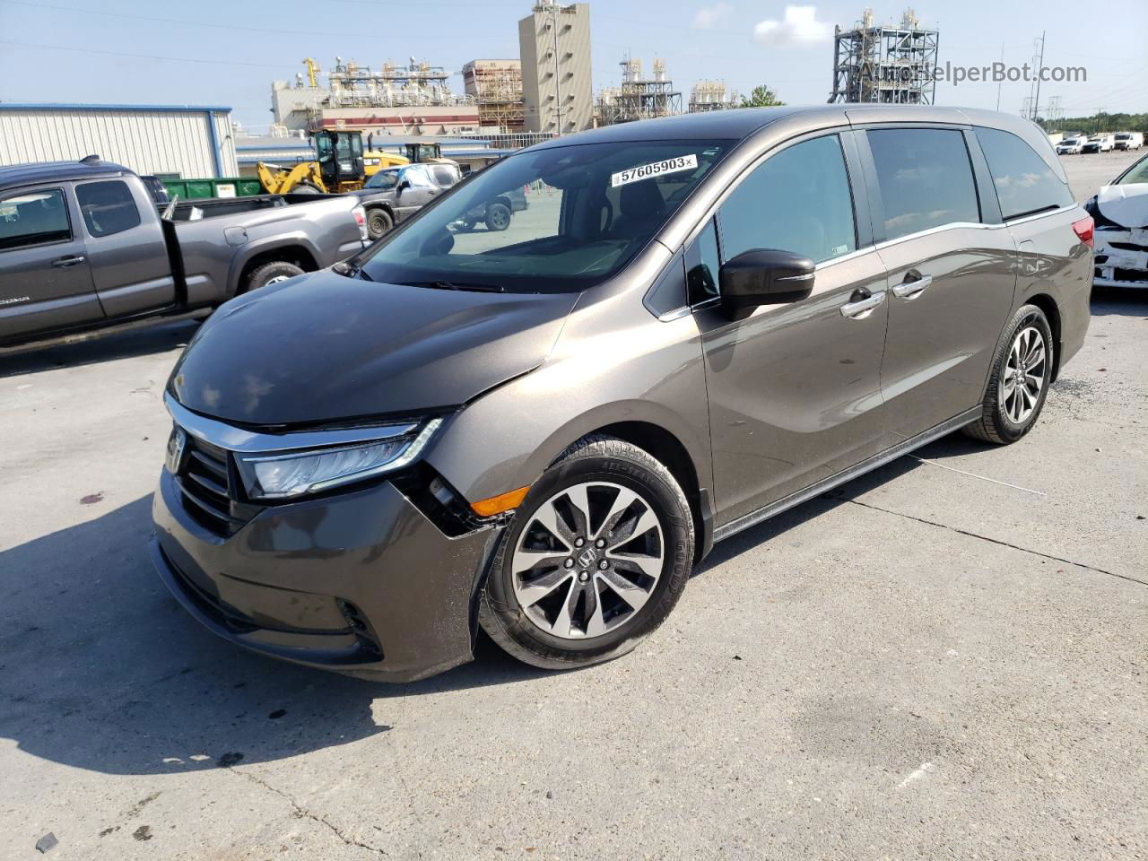 2021 Honda Odyssey Exl Коричневый vin: 5FNRL6H75MB001672