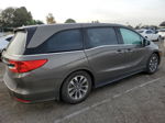 2021 Honda Odyssey Exl Серый vin: 5FNRL6H75MB011182