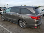 2021 Honda Odyssey Exl Серый vin: 5FNRL6H75MB011182