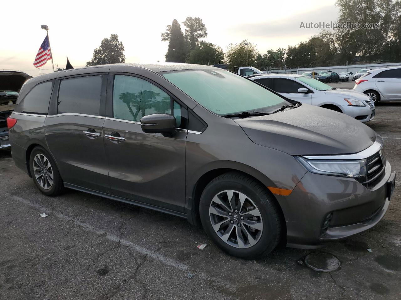 2021 Honda Odyssey Exl Серый vin: 5FNRL6H75MB011182