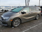 2021 Honda Odyssey Exl Серый vin: 5FNRL6H75MB011182