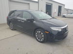 2021 Honda Odyssey Exl Черный vin: 5FNRL6H75MB027317