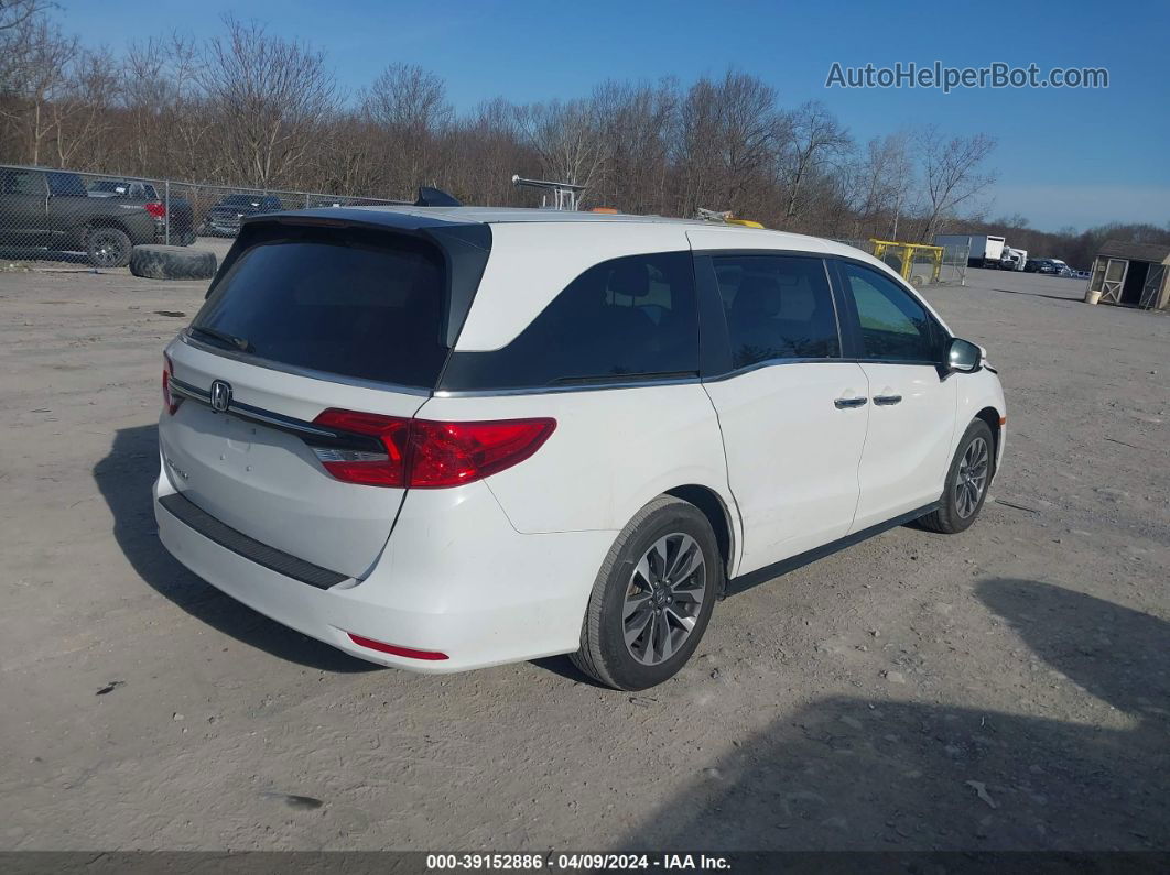 2021 Honda Odyssey Ex-l White vin: 5FNRL6H75MB033151