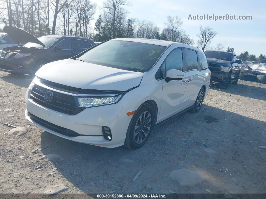 2021 Honda Odyssey Ex-l White vin: 5FNRL6H75MB033151