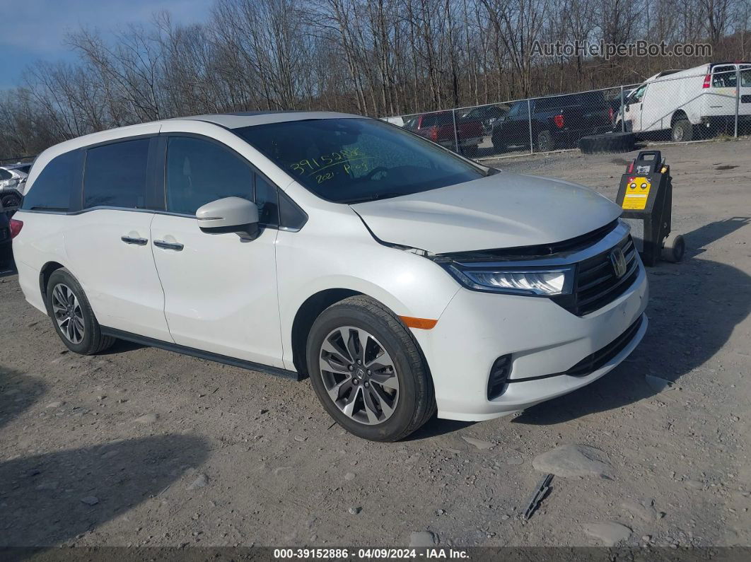 2021 Honda Odyssey Ex-l White vin: 5FNRL6H75MB033151