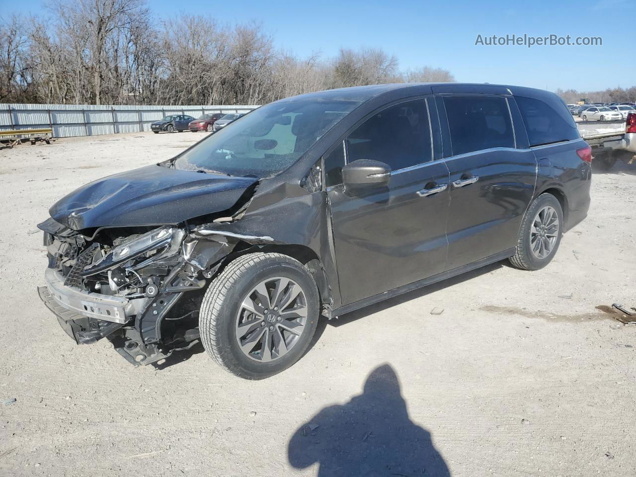 2021 Honda Odyssey Exl Gray vin: 5FNRL6H75MB034350