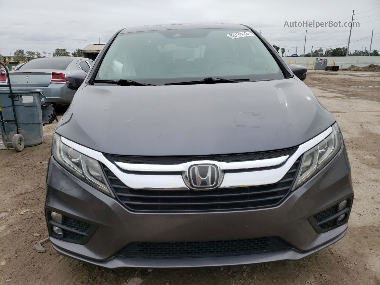 2019 Honda Odyssey Exl Gray vin: 5FNRL6H76KB012063