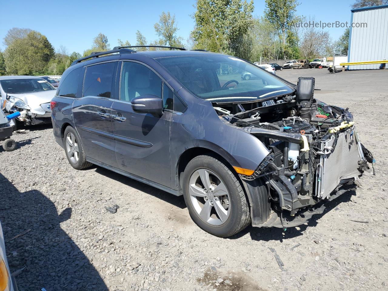 2019 Honda Odyssey Exl Gray vin: 5FNRL6H76KB056452