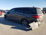 2019 Honda Odyssey Exl Gray vin: 5FNRL6H76KB133949