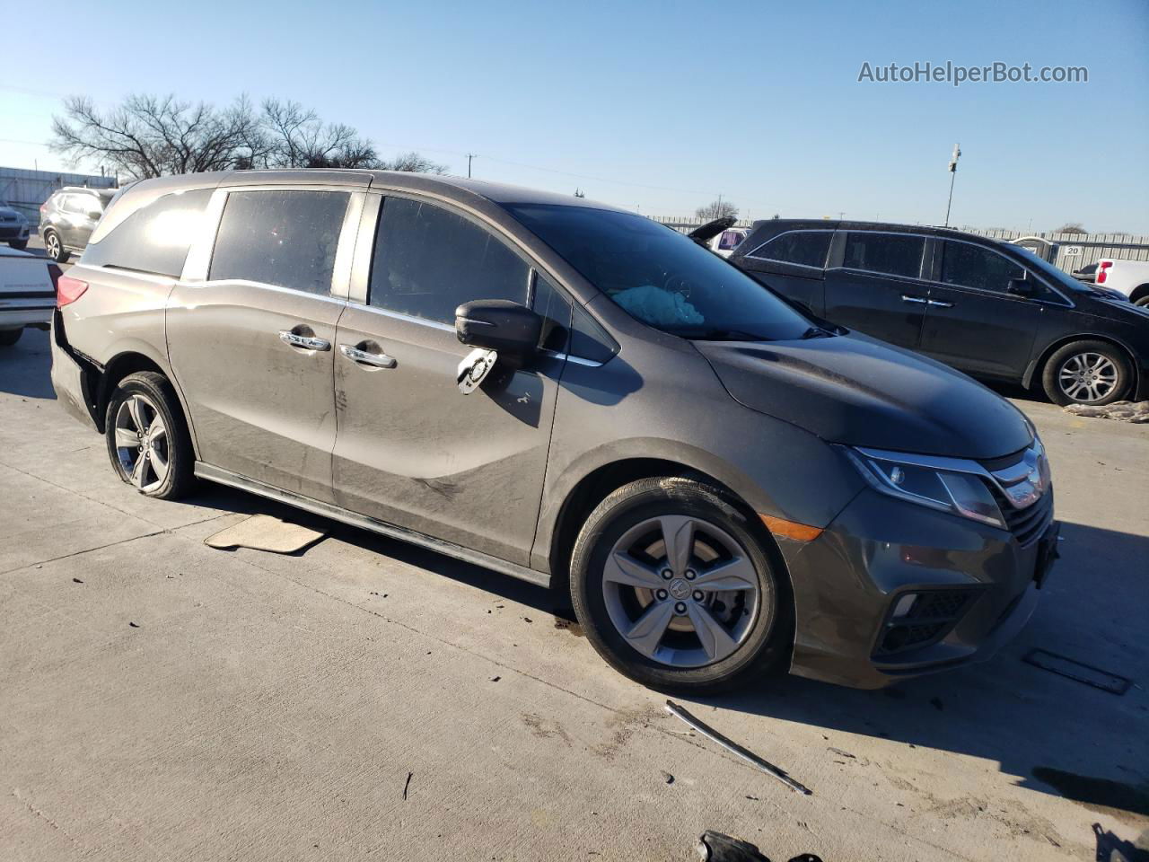 2019 Honda Odyssey Exl Gray vin: 5FNRL6H76KB133949