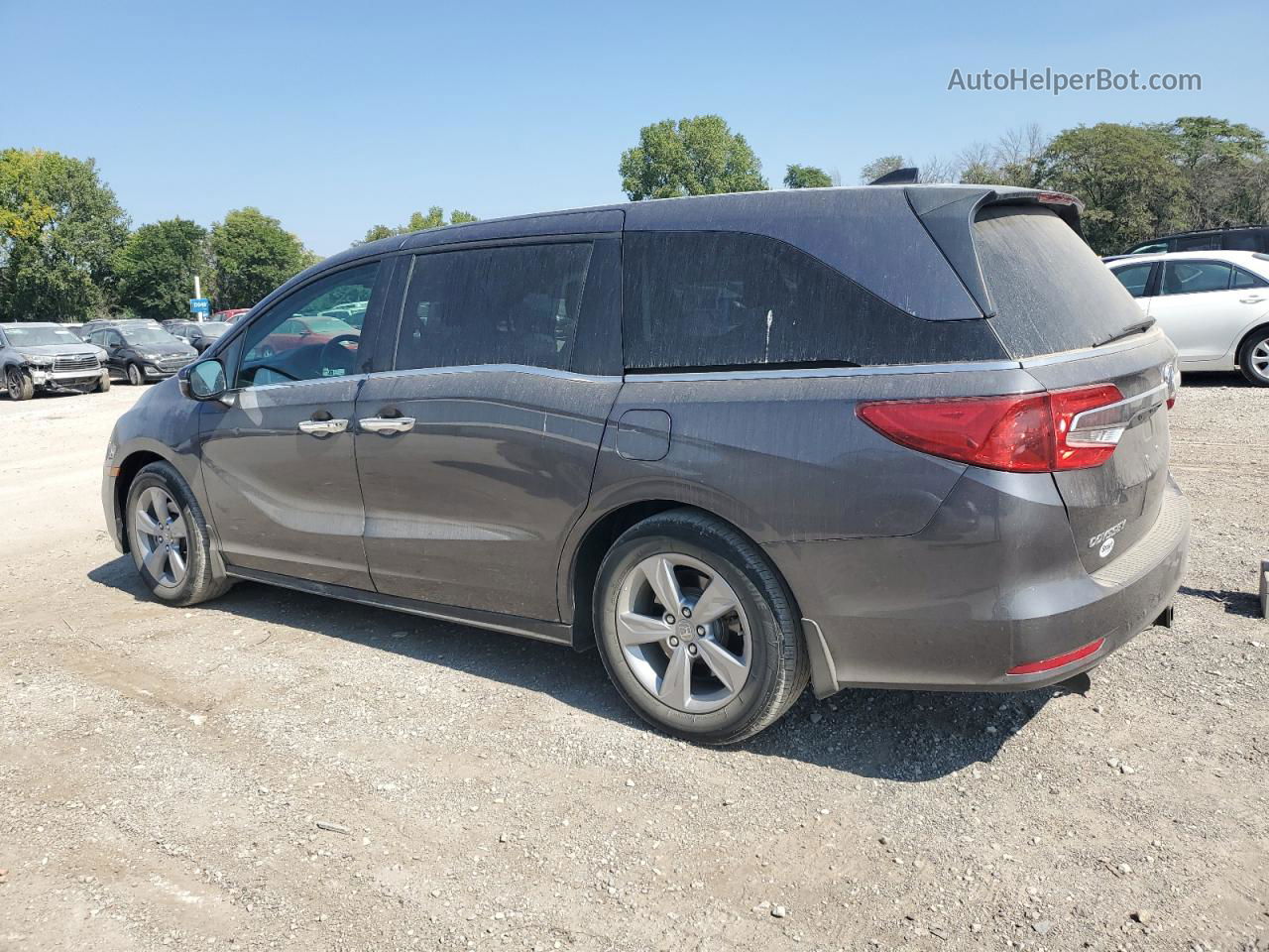 2020 Honda Odyssey Exl Серый vin: 5FNRL6H76LB039278