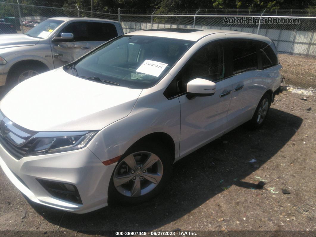 2020 Honda Odyssey Ex-l White vin: 5FNRL6H76LB054363