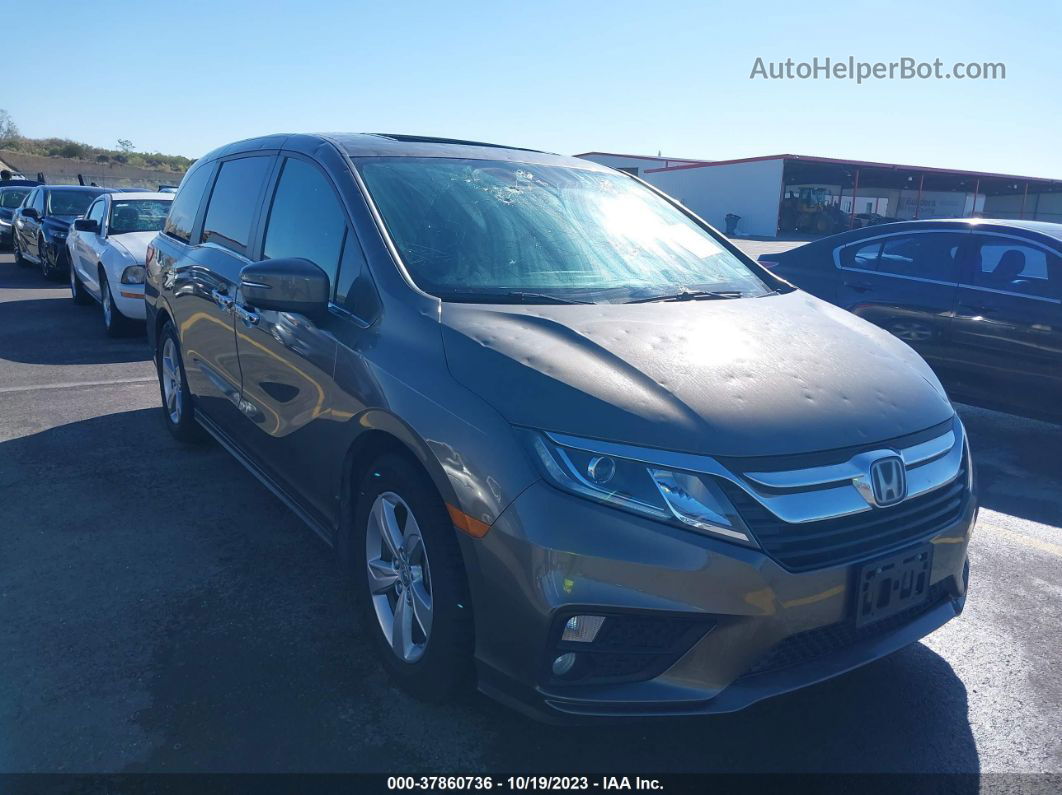 2020 Honda Odyssey Ex-l Gray vin: 5FNRL6H76LB065248