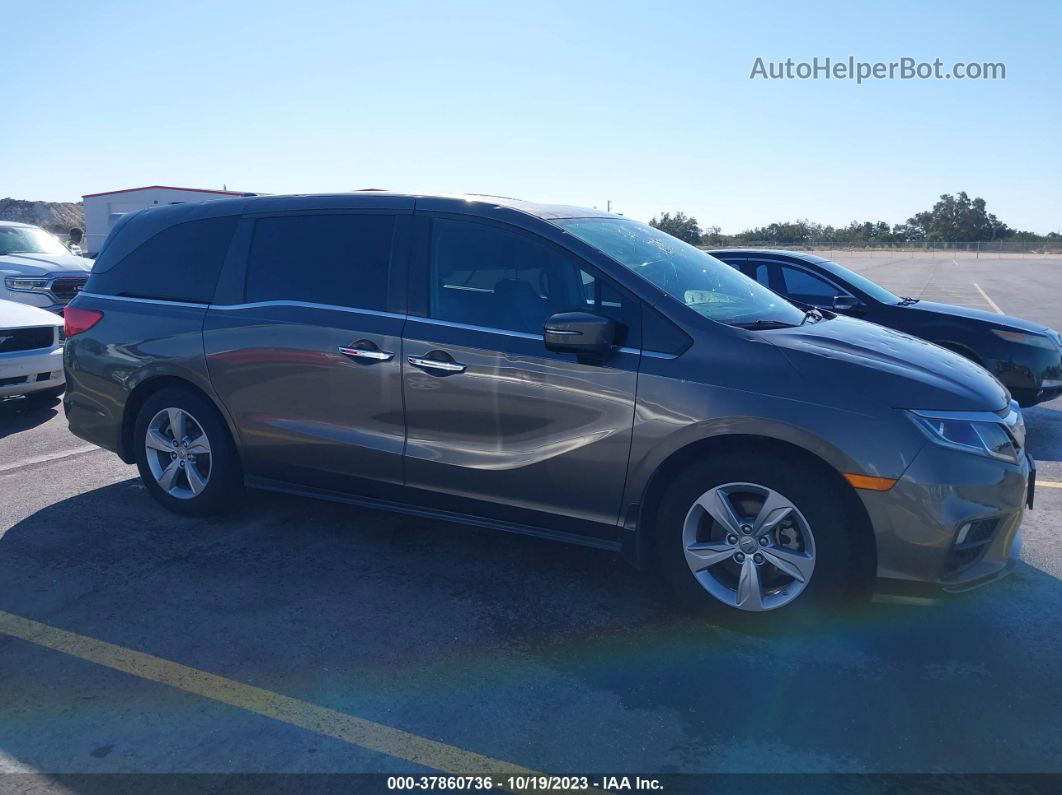 2020 Honda Odyssey Ex-l Gray vin: 5FNRL6H76LB065248