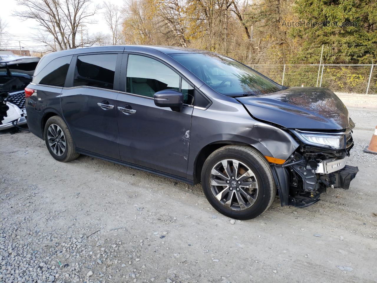 2021 Honda Odyssey Exl Gray vin: 5FNRL6H76MB008985