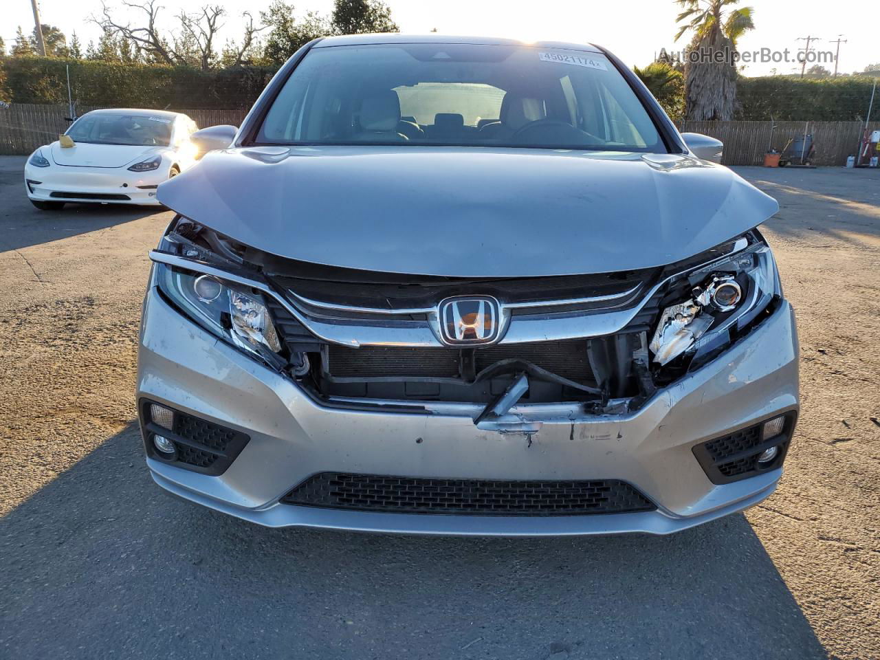 2019 Honda Odyssey Exl Silver vin: 5FNRL6H77KB009592